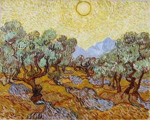 Drzewa oliwne autorstwa Vincent van Gogh