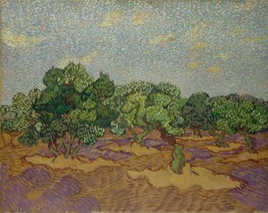 Drzewa oliwne, 1889. autorstwa Vincent van Gogh