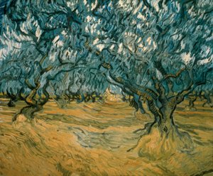 Drzewa oliwne autorstwa Vincent van Gogh
