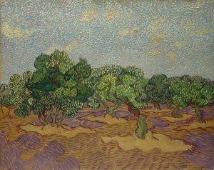 Drzewa oliwne. 1889 autorstwa Vincent van Gogh
