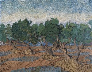 Gaj oliwny. 1889 autorstwa Vincent van Gogh