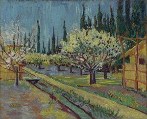Sad otoczony cyprysami autorstwa Vincent van Gogh