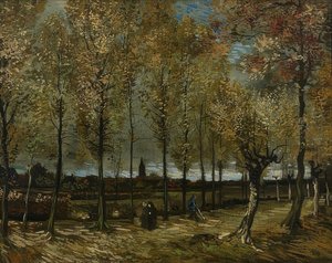 Topole w pobliżu Nuenen. 1885 autorstwa Vincent van Gogh