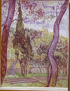 Park szpitala Saint-Paul w Saint-Remy-de-Provence autorstwa Vincent van Gogh