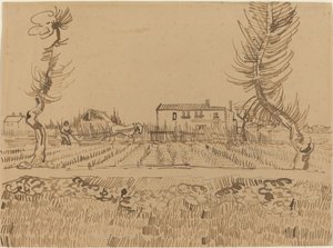 Oracz na polach w pobliżu Arles, 1888. autorstwa Vincent van Gogh
