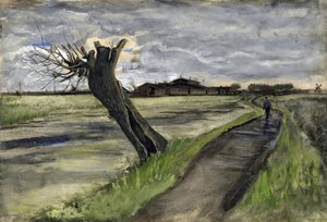 Pollard Willow (Saule Tetard) par Gogh, Vincent, van (1853-1890). Ołówek, akwarela, gwasz, tusz na papierze, wymiary : 38x55,8 autorstwa Vincent van Gogh