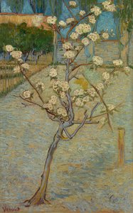 Mała grusza w kwiecie autorstwa Vincent van Gogh