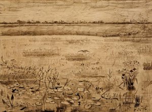 Krajobraz bagienny z liliami wodnymi autorstwa Vincent van Gogh