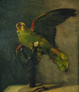 Zielona papuga; Zielona papuga, 1885 autorstwa Vincent van Gogh