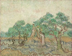 Sad Oliwny autorstwa Vincent van Gogh