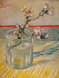 Łodyga kwitnienia migdałów, 1888 autorstwa Vincent van Gogh