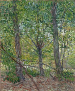  autorstwa Vincent van Gogh