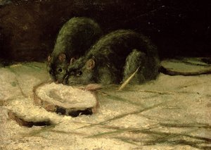 Dwa szczury, c.1884 autorstwa Vincent van Gogh