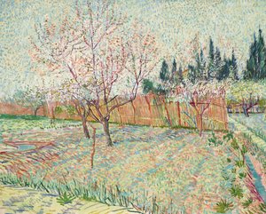 Sad z cyprysami autorstwa Vincent van Gogh
