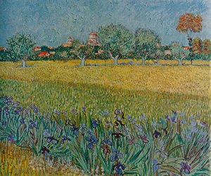 Widok Ales z irysami w rozkwicie, 1888 autorstwa Vincent van Gogh