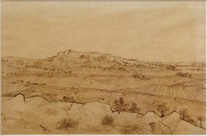 Widok na Crau autorstwa Vincent van Gogh