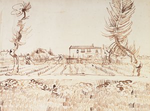 Praca na polach w Arles; Oracz na polach w Arles, 1888 autorstwa Vincent van Gogh