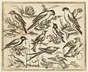 Jedenaście ptaków siedzących na kępach kwitnących liści i małych gałązek..., 1557. autorstwa Virgil Solis