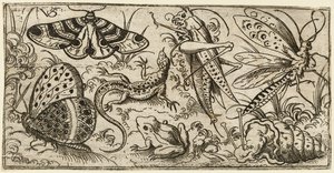 Grupa owadów i zwierząt na równinnym terenie z trawą..., 1530 - 1562.