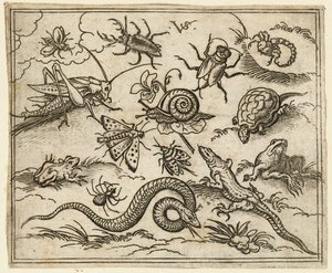 Grupa owadów i gadów na równinnym terenie ze skałami, w tym iguana, jaszczurka..., 1557.