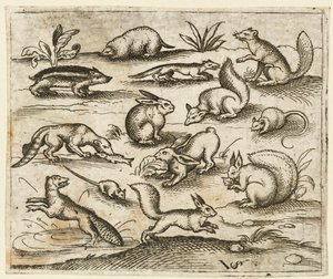 Grupa małych leśnych stworzeń jedzących i biegających wokół stawu, w tym mysz..., 1557.