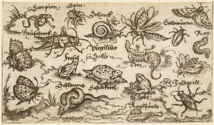 Owady, gady, ślimaki i ryby na minimalnym gruncie z wodą na pierwszym planie..., 1572.