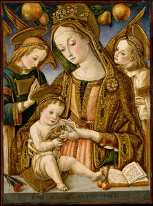 Madonna z Dzieciątkiem i Dwoma Aniołami, ca. 1481-82.