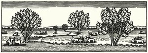 Ilustracja do Tess Of The D’Urbervilles autorstwa Thomasa Hardy