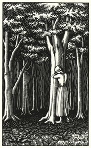 Ilustracja do Tess Of The D’Urbervilles autorstwa Thomasa Hardy
