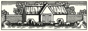 Ilustracja do Tess Of The D’Urbervilles autorstwa Thomasa Hardy