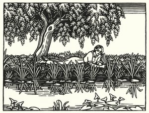 Ilustracja do Tess Of The D’Urbervilles autorstwa Thomasa Hardy