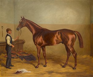 Sir Hugo jako trzylatek trzymany przez Pana Młodego w stajni, ok. 1875-92 (olej na płótnie) autorstwa W.H. Hopkins