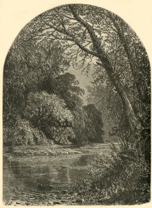 „Wyspy mchu w Juniacie”, 1874.