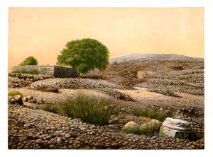 Shiloh, ok. 1870.