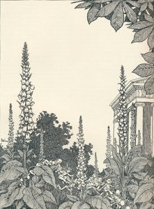 Ilustracja do Snu nocy letniej, 1914, 1925. autorstwa William Heath Robinson