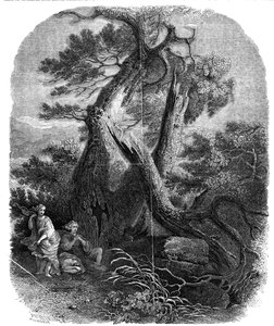 Okaz drzeworytu, Śmierć dzieci Niobe, ...1844.