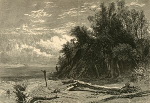 „Brzeg w Lake Forest”, 1874. autorstwa W. J. Linton