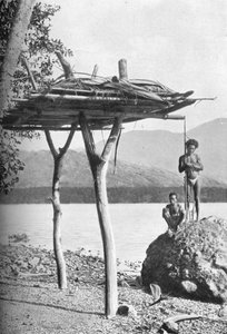 Platforma kostnicy w Nowej Gwinei, 1902 autorstwa W. Lindt