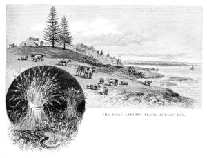 Pierwsze miejsce lądowania, Botany Bay, Nowa Południowa Walia, Australia, 1886.
