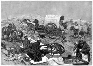 Damski omnibus, Kaszgar, Azja Środkowa, 1875 r. autorstwa W. Palmer