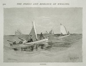 „Sounding” (załogi małych łodzi z ręcznymi harpunami przygotowują się do polowania), za „The Perils and Romance of Whaling” w Century Magazine, czerwiec 1890 (rycina) autorstwa W. Taber