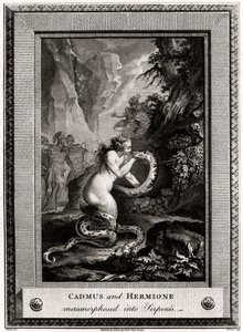 Kadmus i Hermiona, przemienieni w Węże, 1776