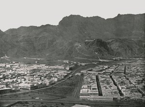 Widok ogólny przedstawiający targ wielbłądów, Aden, 1895.