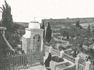 Ogród Getsemani, Jerozolima, Palestyna, 1895.