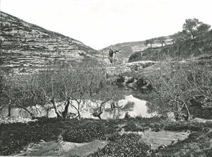 Sadzawka Siloam, Jerozolima, Palestyna, 1895. autorstwa W and S Ltd