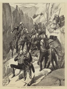 Wojna afgańska, czekając na słonie