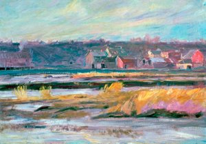„Mokradła Connecticut”, c1868-1917