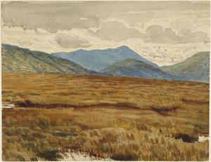 Wrzosowisko Aros, wyspa Mull autorstwa Walter Crane