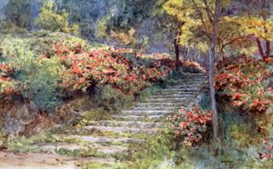 Azalia przy starych schodach, Kioto autorstwa Walter Frederick Roofe Tyndale
