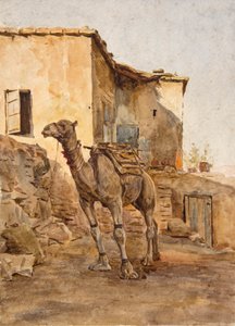 Wielbłąd na uwięzi (akwarela) autorstwa Walter Frederick Roofe Tyndale